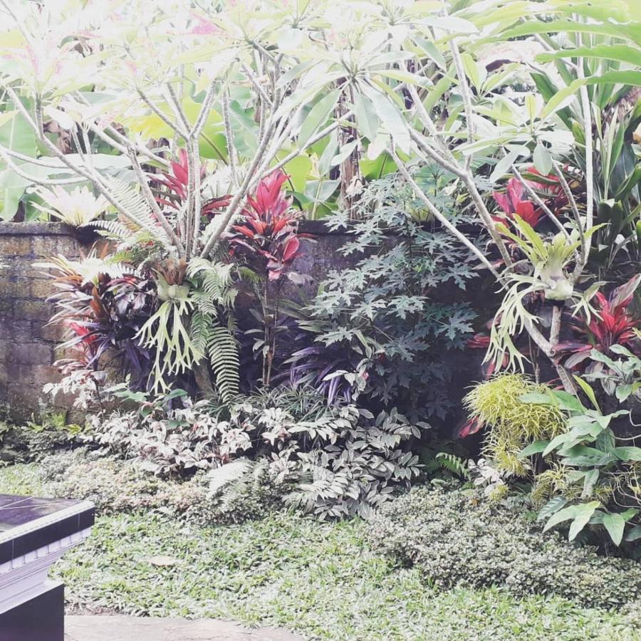 D'Sari Undisan Houses Bangli Exterior photo
